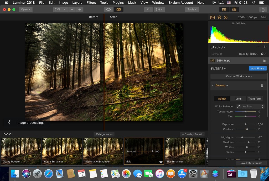 RÃ©sultat de recherche d'images pour "Skylum Software Bundle 2019 (Update 18.10)"