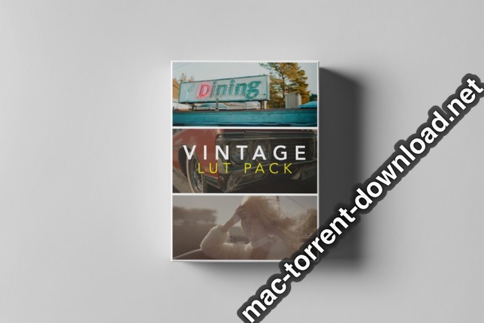 Tropic Colour All LUTs Collections for Final Cut Pro Adobe Resolve Screenshot 04 t4r296n