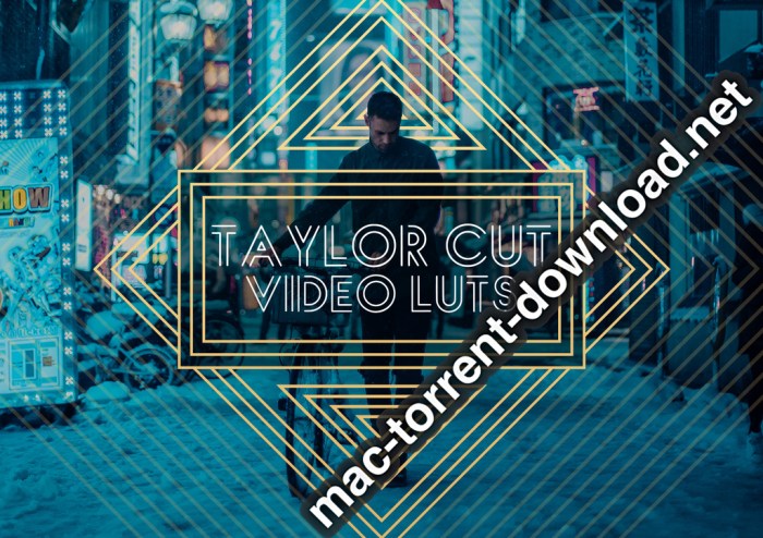 Taylor Cut Video LUTs for Final Cut Pro Premiere and Resolve Win Mac Screenshot 01 iolbsmy