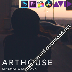 NoamKroll Cinematic LUTs ARTHOUSE icon ok4jkyy