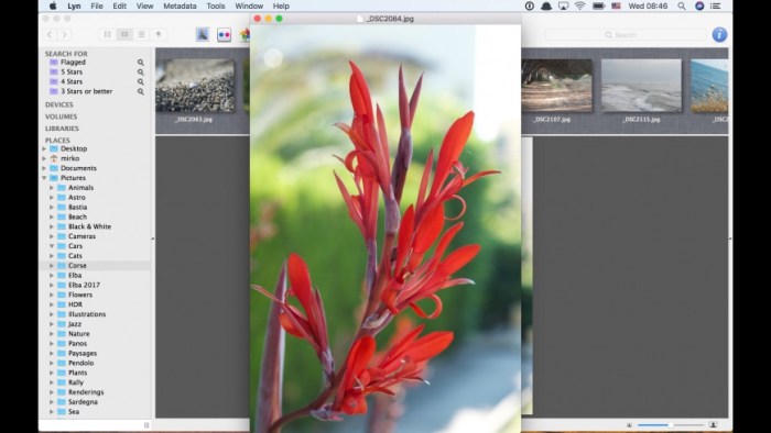 Lyn 112 Screenshot 05 1i7djh7n