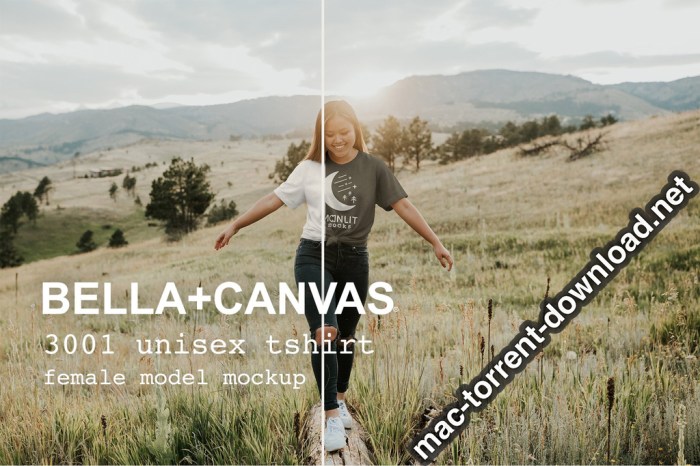 The Womens Bella Canvas 3001 Bundle for Photoshop Screenshot 01 q3ugz2n