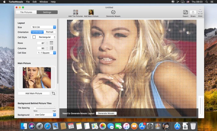 TurboMosaic 3017 Screenshot 01 mp0lm9n