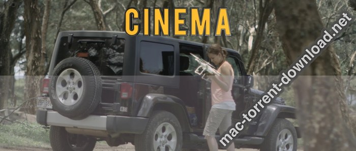 Neumann Films The Blockbuster LUTs Win Mac Screenshot 02 mtf743n