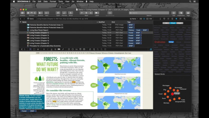 DEVONthink Pro 30 Screenshot 05 psml9gn