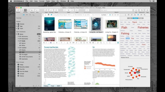 DEVONthink Pro 30 Screenshot 02 psml9gn