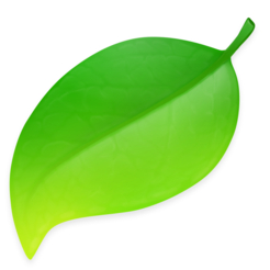Coda 2 One window Web development suite icon