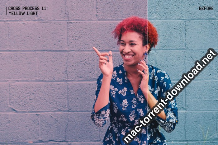 350plus Photographers Essential Collection Pack Screenshot 03 ikzbrin