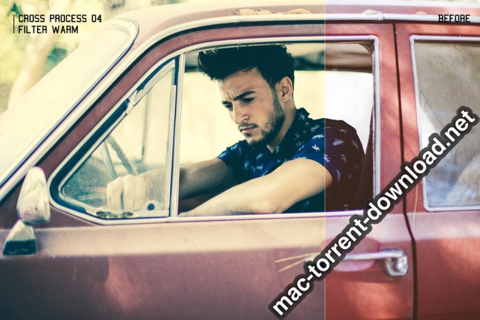 350plus Photographers Essential Collection Pack Screenshot 08 ikzbrin