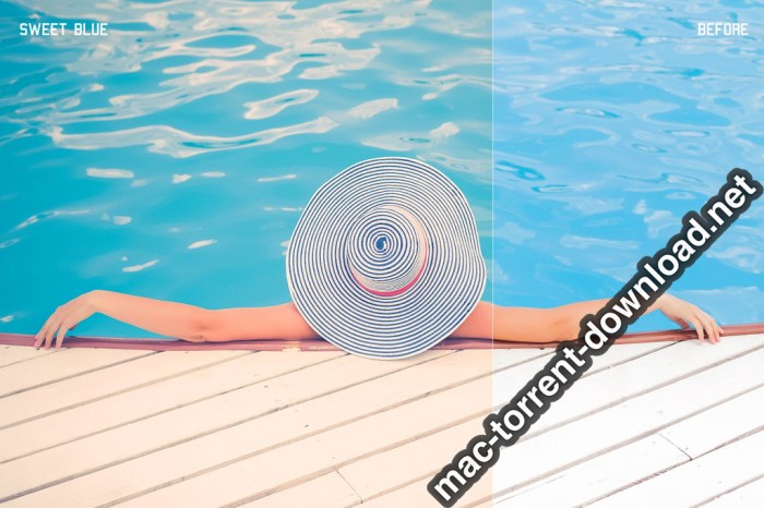 350plus Photographers Essential Collection Pack Screenshot 06 ikzbrin