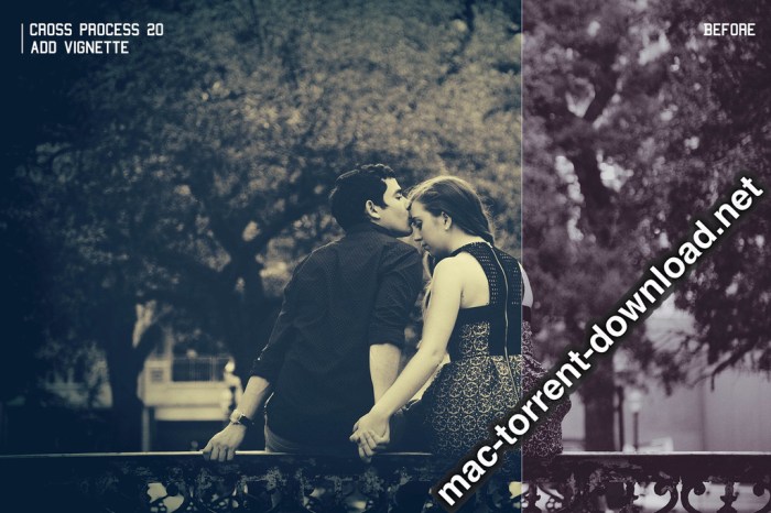 350plus Photographers Essential Collection Pack Screenshot 05 ikzbrin