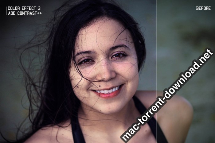 350plus Photographers Essential Collection Pack Screenshot 01 ikzbrin