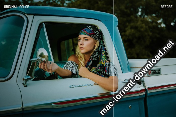 350plus Photographers Essential Collection Pack Screenshot 07 ikzbrin