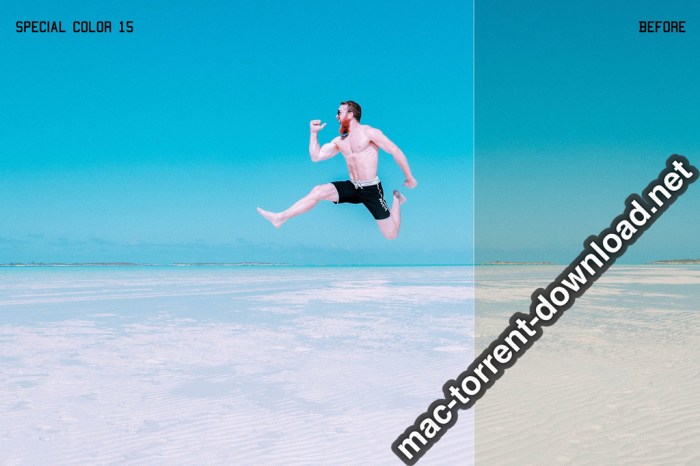 350plus Photographers Essential Collection Pack Screenshot 02 ikzbrin