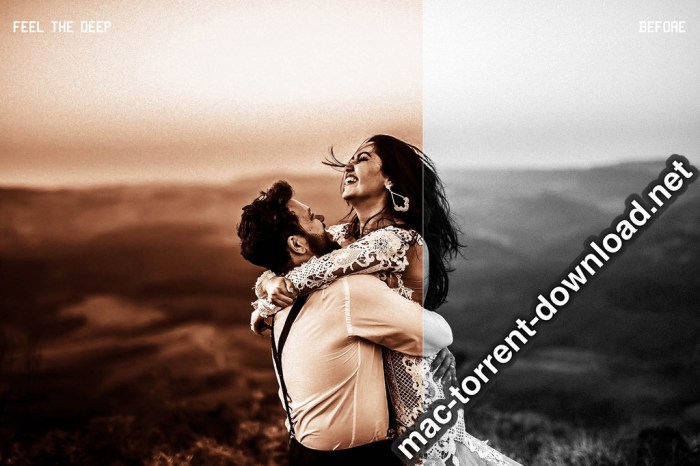 350plus Photographers Essential Collection Pack Screenshot 13 ikzbrin