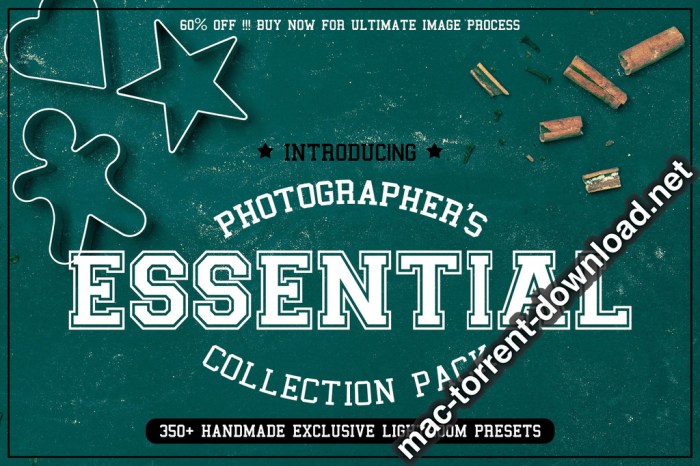 350plus Photographers Essential Collection Pack Screenshot 10 ikzbrin