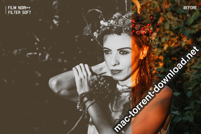 350plus Photographers Essential Collection Pack Screenshot 14 ikzbrin