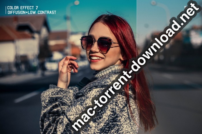 350plus Photographers Essential Collection Pack Screenshot 20 ikzbrin