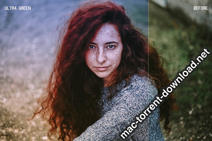 350plus Photographers Essential Collection Pack Screenshot 17 ikzbrin