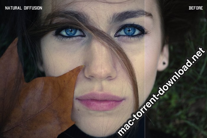 350plus Photographers Essential Collection Pack Screenshot 21 ikzbrin