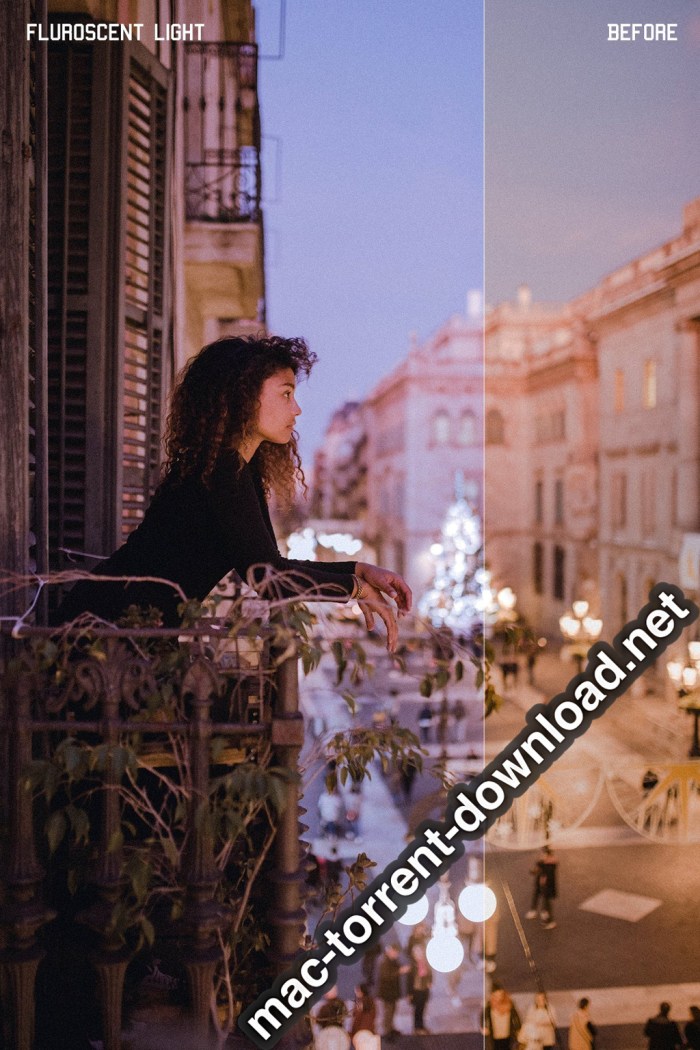 350plus Photographers Essential Collection Pack Screenshot 19 ikzbrin