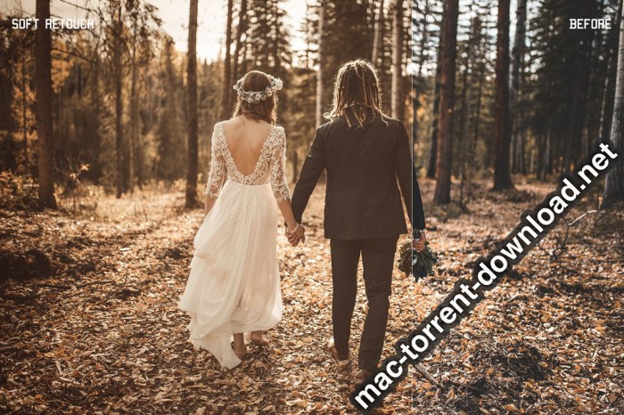 350plus Photographers Essential Collection Pack Screenshot 24 ikzbrin