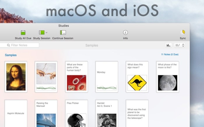Studies Screenshot 02 1fiq5h0y