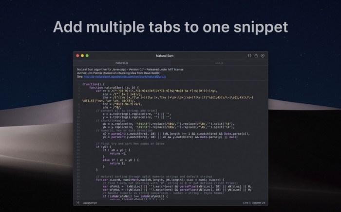 SnippetsLab Screenshot 07 1m3cs5py