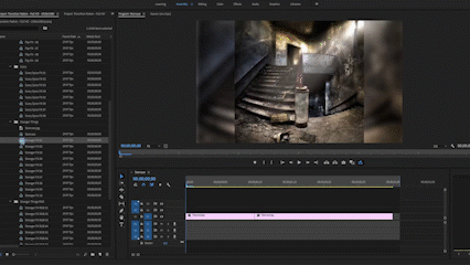 150plus Social Media FX Pack for Adobe Premiere Pro Win Mac Screenshot 05 ln126y