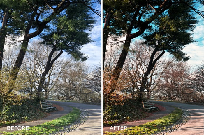 Colorful LUTs Pack for Vlogging Win Mac Screenshot 04 6nzr6vn