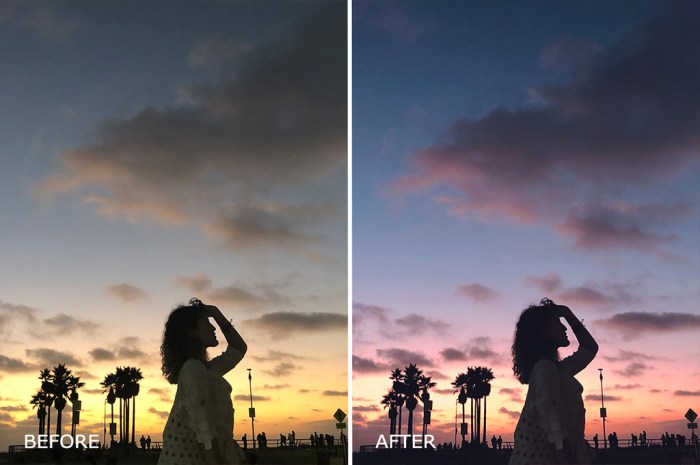 Colorful LUTs Pack for Vlogging Win Mac Screenshot 06 6nzr6vn