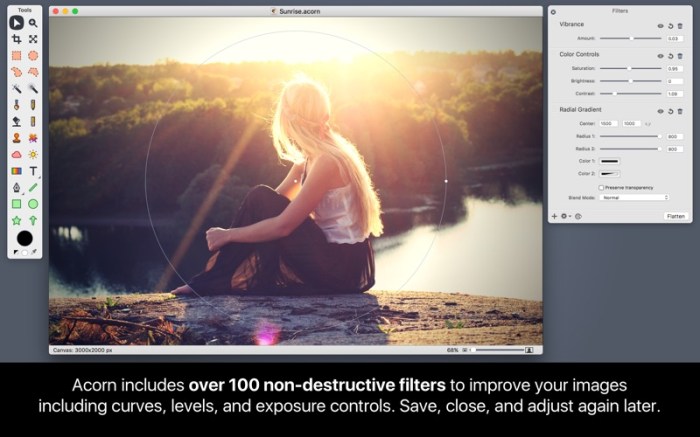Acorn 6 Image Editor Screenshot 03 t84koy