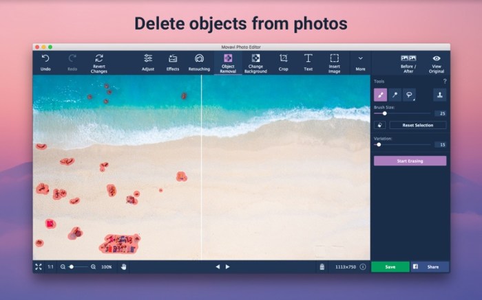 Photo Editor Movavi Screenshot 01 1cw90x3y