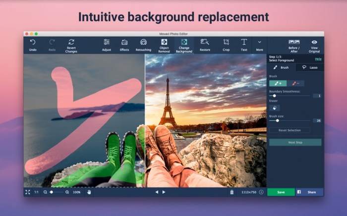 Photo Editor Movavi Screenshot 02 1cw90x3y
