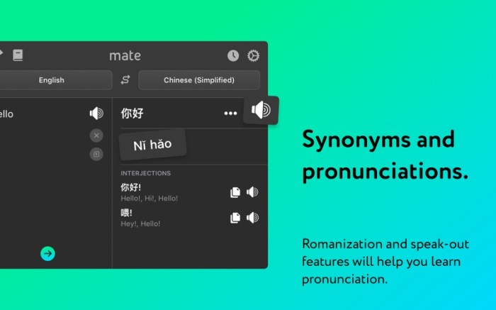 Mate: Universal Tab Translator Screenshot 06 t44d2qn
