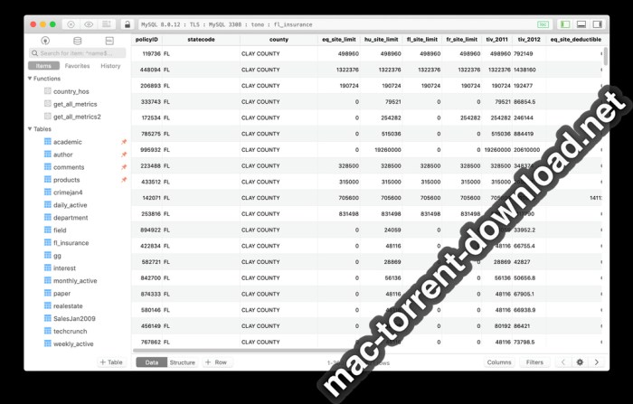 TablePlus 210268 Screenshot 05 msh8ity