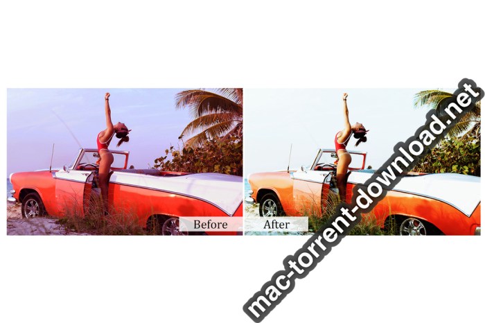 30 Insta Photoshop Actions Screenshot 06 p0n9cin
