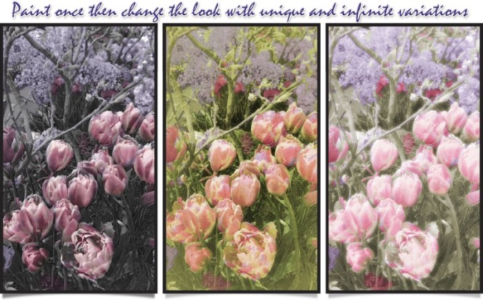 Hand Tint Pro Screenshot 04 1p4ccqay