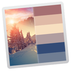 Color Palette from Image icon