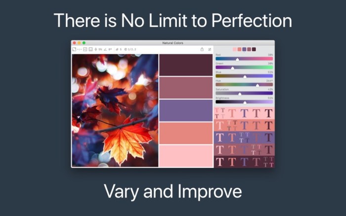 Color Palette from Image Screenshot 3 dtfewjn