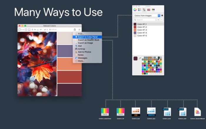 Color Palette from Image Screenshot 4 dtfewjn