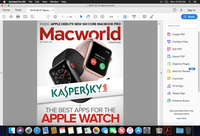 Adobe Acrobat Pro DC 201901220047 Screenshot 02 pw33xey