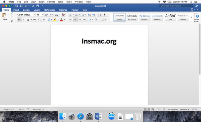 Microsoft Office 2019 for Mac 1629 VL Multilingual Screenshot 03 1gwjpo0y