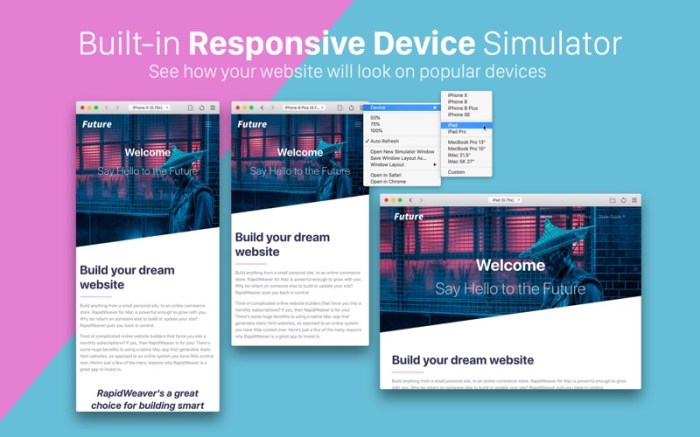 RapidWeaver 8 Screenshot 4 yuzmq8y