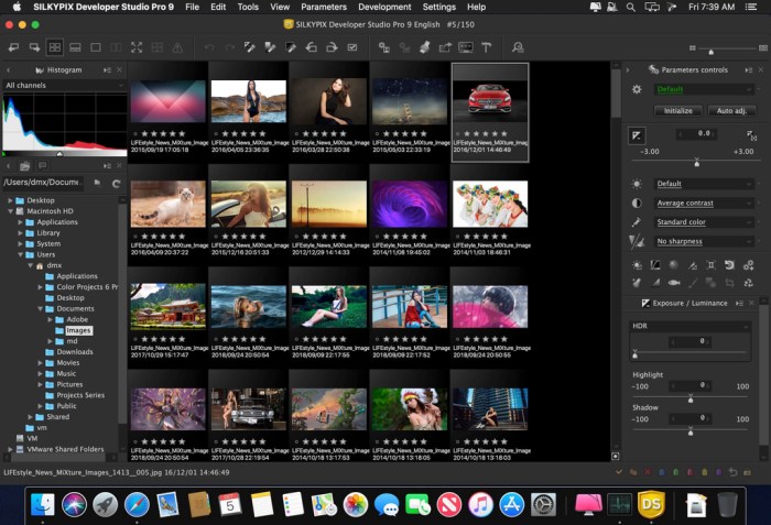 SILKYPIX Developer Studio Pro 9E 9014 Screenshot 02 m3p1w0n