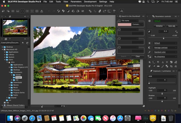 SILKYPIX Developer Studio Pro 9E 9014 Screenshot 03 m3p1w0n