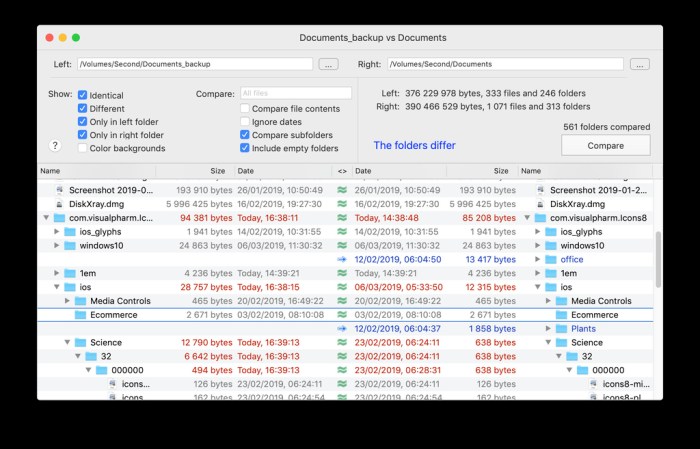 Naarak Studio DirEqual v15 Screenshot 02 f2r2w6n
