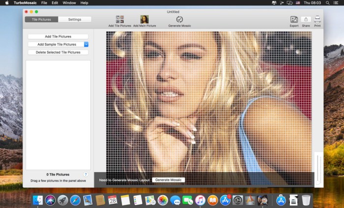 TurboMosaic 3017 Screenshot 02 mp0lm9n