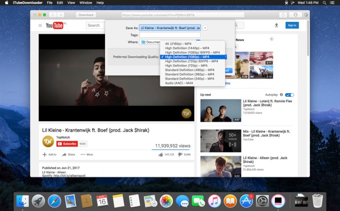 iTubeDownloader 653 Screenshot 02 pt87son