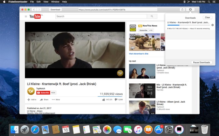 iTubeDownloader 653 Screenshot 03 pt87son